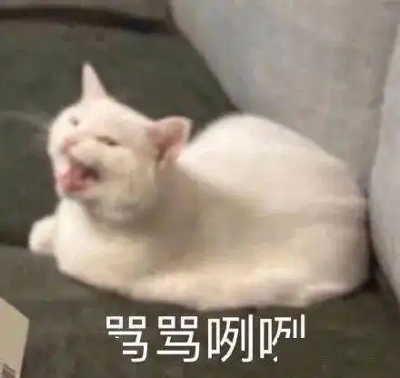 沙雕表情爱情是最不靠谱的东西
