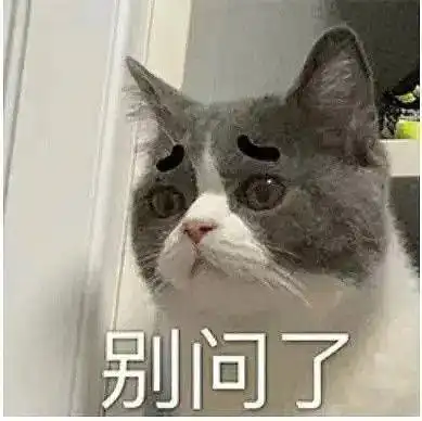 委屈猫猫表情包小猫咪凭什么要单身呢

