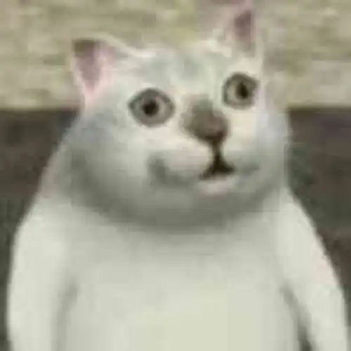 求这只猫的表情包,谢谢各位
