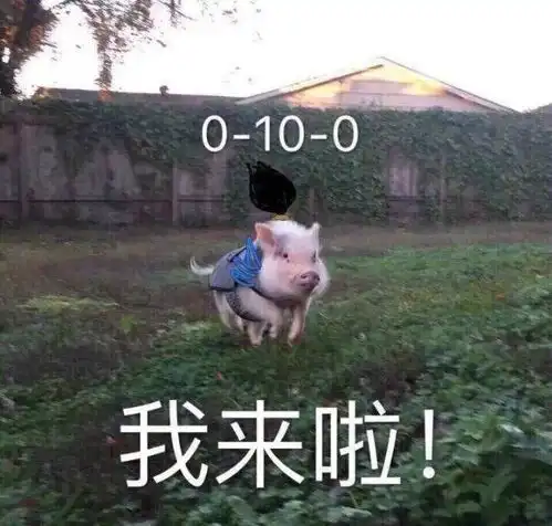 有没有很有意思的英雄联盟表情包
