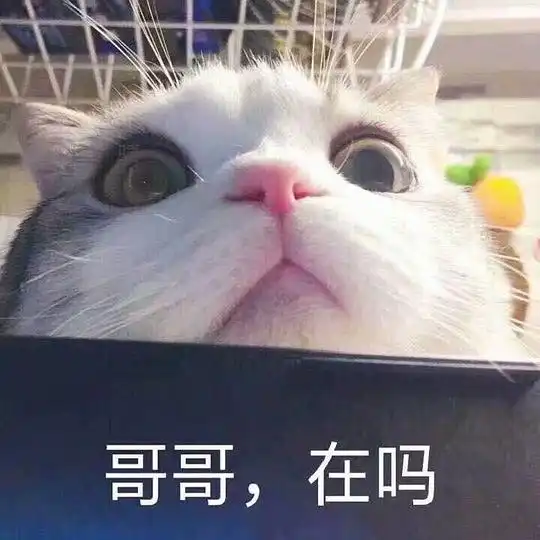 李嗲lydia的相册嗲嗲的表情包
