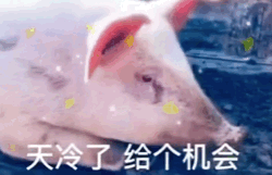 今天你们要的网红表情包它来了撩妹表情包第一弹
