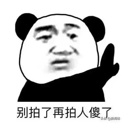 拍了拍你这些微信新功能快被玩坏了
