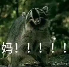 搞笑动物表情包
