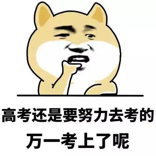 别傻了美国高考也很残酷
