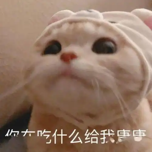 每日一练关于酒文化的说法错误的是
