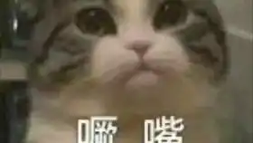 沙雕表情包出处