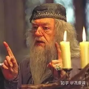 评价哈利波特中的邓布利多
