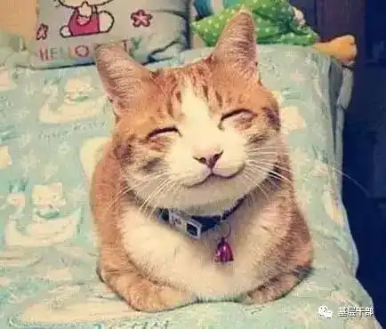 单位各部门领导表情大全,笑晕了
