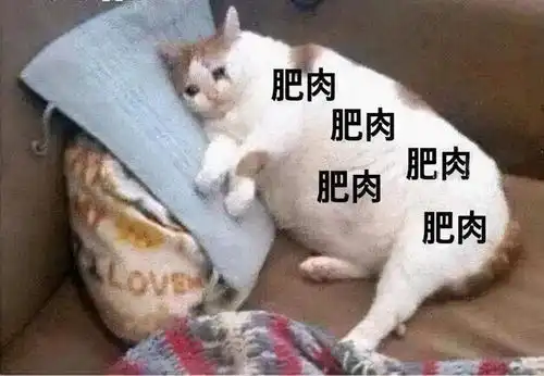 没时间运动如何减肥保证你用的上
