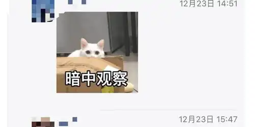 微信朋友圈评论表情包功能已无法使用
