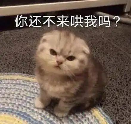 当卑微的我问我妈讨要生活费,这也太斗智斗勇了哈哈哈
