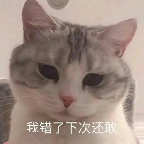 长得可爱就是麻烦丨第312期喵表情包
