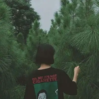 moon拿图点
