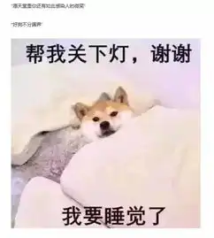 悼念表情包柴犬之前,是不是应该先了解一下事实
