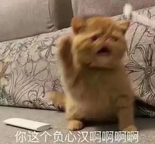 当博导10年,我越来越成熟越来越小心翼翼
