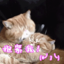 胖子怕冷,瘦子怕热赶紧查一下,台州人这个病多发
