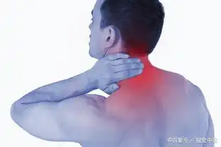 美柚资讯最好的partner是爱人也是并肩作战的好友
