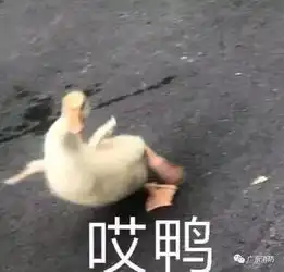 细思极恐你坐的网红滑道可能都没证
