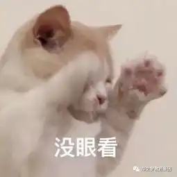 失传多年的李氏八卦重现江湖,准确率达99.9999
