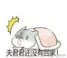 抖音小仓鼠高清无水印表情包合集超萌