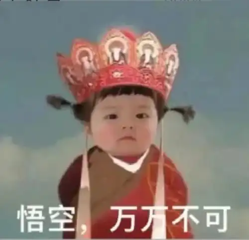 沙雕表情包傻瓜,你怎么可能是傻瓜呢,傻瓜
