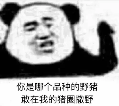 求一个无能狂怒的表情包