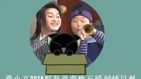 在进来听罗小黑音乐会
