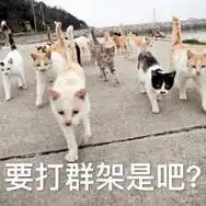 猫咪老大听说是你在搞事表情包我来看看哪个辣鸡在搞事猫咪表情包下载乐游网游戏下载
