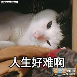 瓜皮猫瘫会儿表情包瓜皮猫哇我好难过表情包下载乐游网游戏下载
