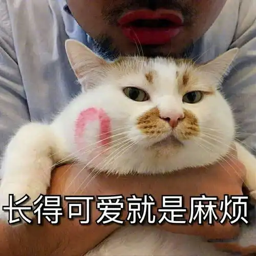 你爱用的微信表情包,暴露了真实的你
