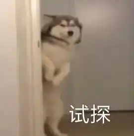 一加6t官方上手视频华为mate20搭无线耳机现身
