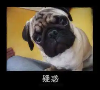 我,,以后该干吗
