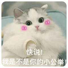 表情粉嫩猫咪表情包,满足你的少女心
