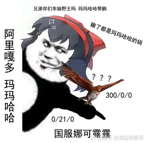 现在的辅助为何前期都开始不跟射手了,现版本中野射哪个值得辅助保护
