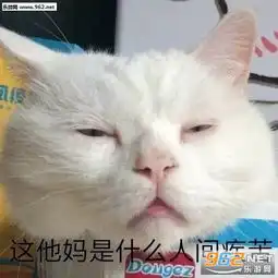 我好像胖了图片积压的工作和我表情包下载乐游网游戏下载
