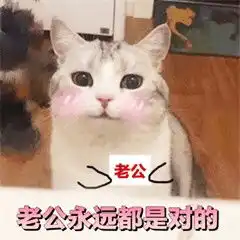 如果老公生气了那一定是我错了可爱猫咪表情包老公永远都是对的迷妹少女心表情包下载乐游网游戏下载
