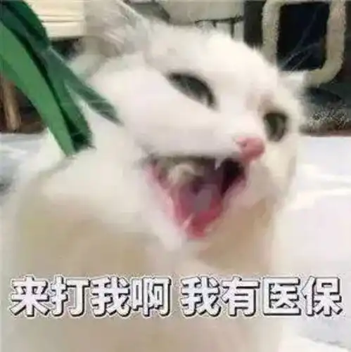你知道吗这样的胆囊结石可以不用做手术啦
