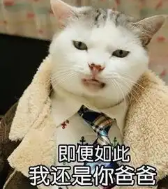 叫爸爸
