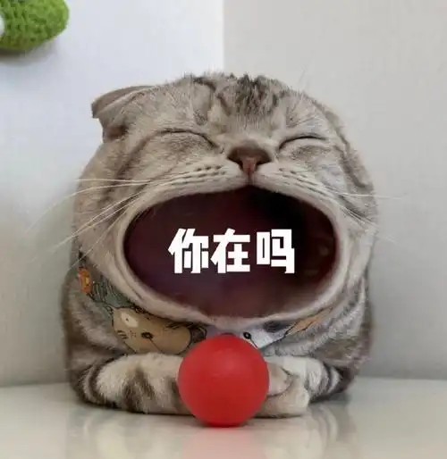 张大嘴等投喂猫咪表情包,妈宝女爸宝女表情包
