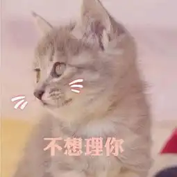 幽默段子女朋友给我买了袋五十斤的大米,说明天早上数不完就分手

