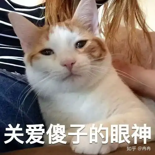 如何看待逛商场把衣服拍下来在淘宝上搜同款的行为
