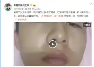 2016,谁是网红中的网红
