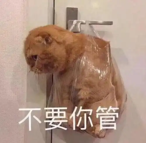 表情包如果不是没人爱,谁又愿意当舔狗呢
