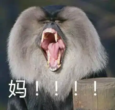 八气街拍放假回家会被嫌弃么

