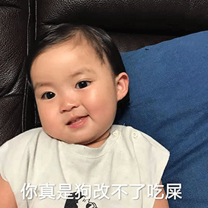 表情包忍者听了都忍不了
