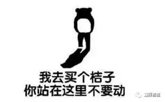 3种奇葩机器人的简单介绍
