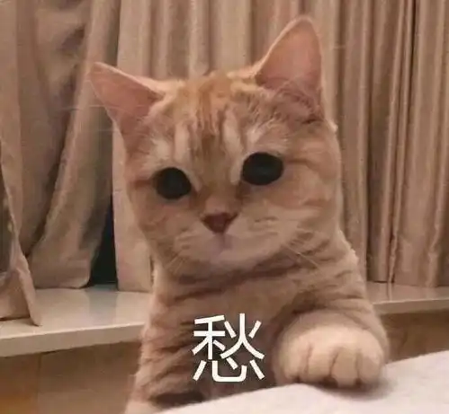 表情包爷裂开了

