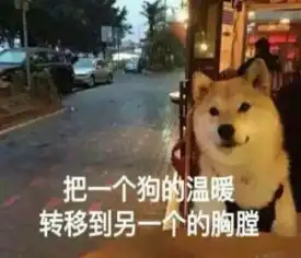 七夕段子搞笑图片表情包七夕段子单生狗系列图片表情
