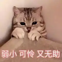 如何看待34岁未婚美女去相亲角十多次,受到百般侮辱
